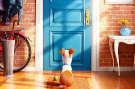 The Secret Life Of Pets 2016